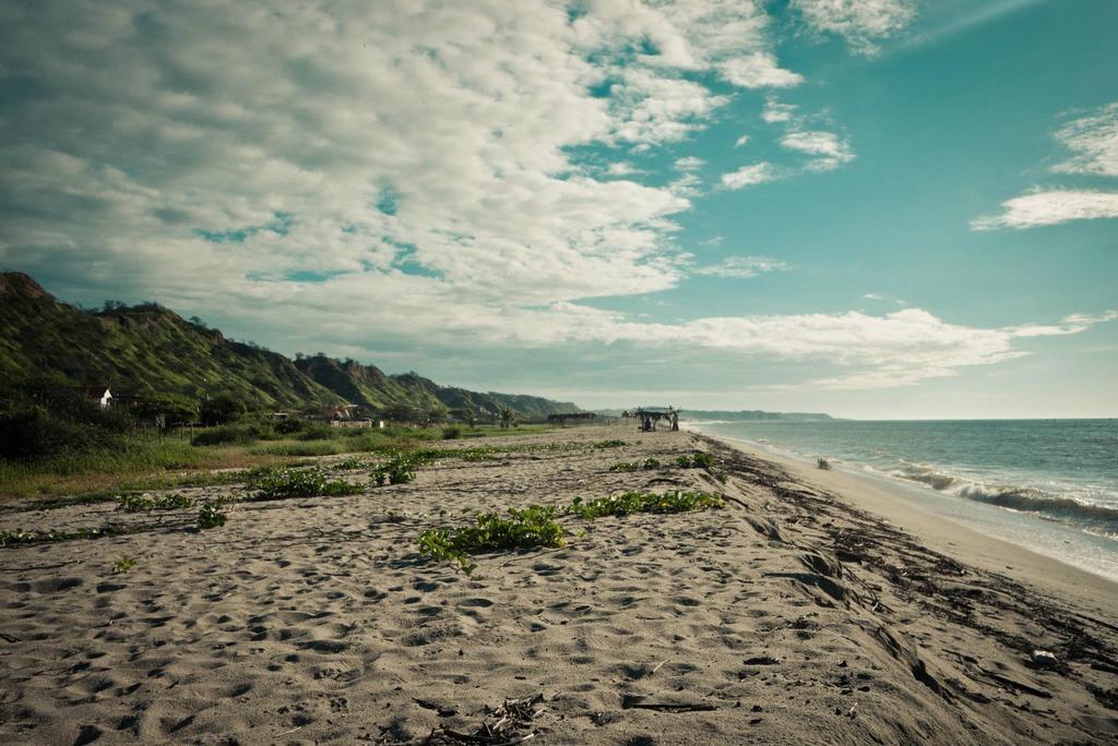 Grillo Tres Puntas Eco-Hostel Сорритос Экстерьер фото