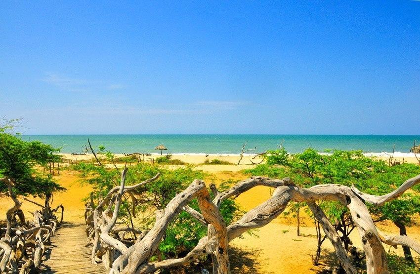 Grillo Tres Puntas Eco-Hostel Сорритос Экстерьер фото